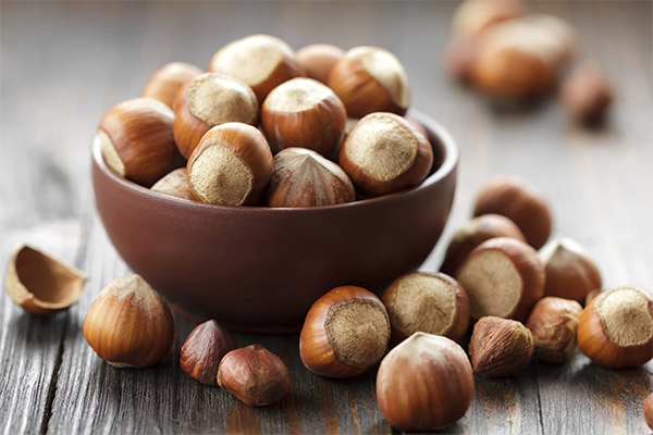 Interesting facts about hazelnuts
