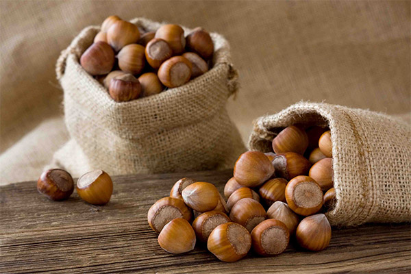 How to choose and store hazelnuts