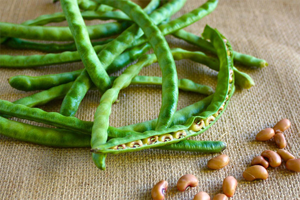 Health benefits and harms of green beans