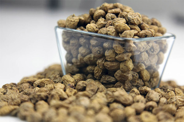 The benefits and harms of the peanut chufa