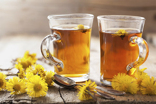 How to drink dandelion tea