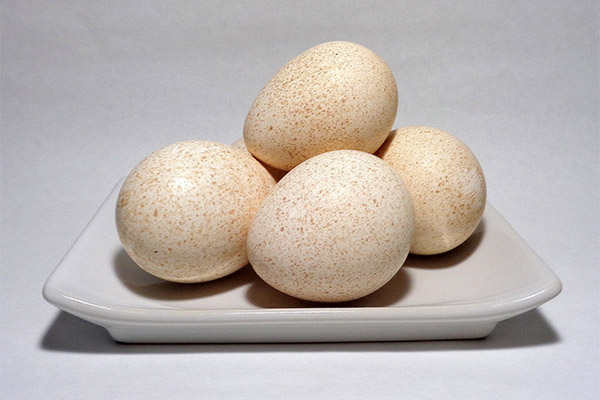 七面鳥の卵の調理法