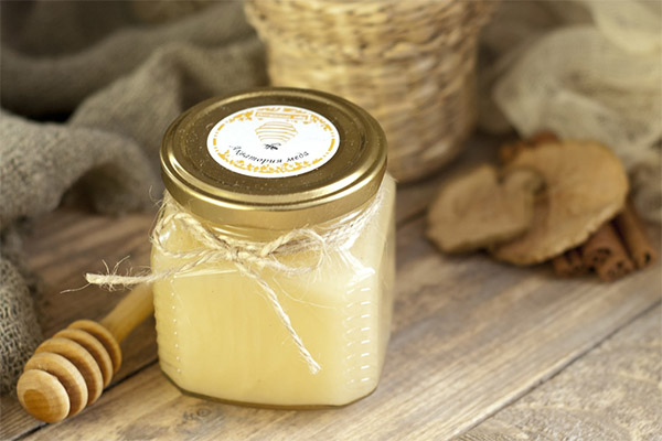 The use of milkcap honey in folk medicine