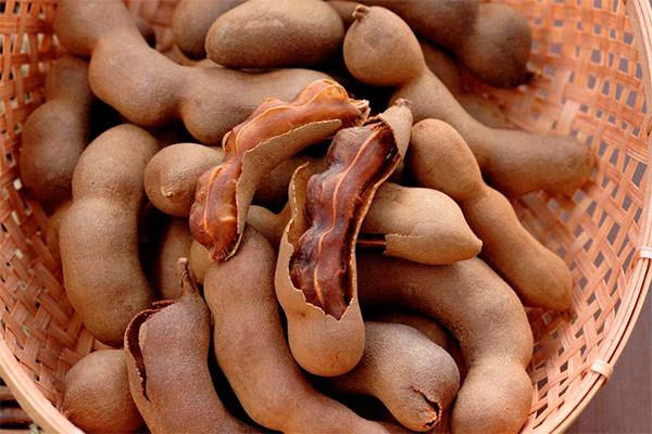 How to Choose and Store Tamarind