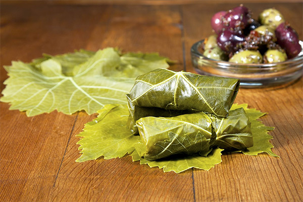 The benefits and harms of grape leaves