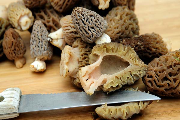How to prepare morels for cooking